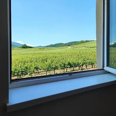 Apartment L'altenberg