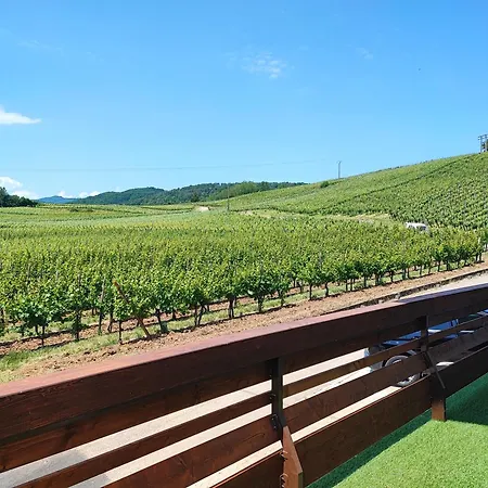 Apartman L'altenberg