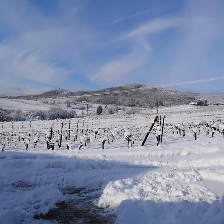 L'altenberg Bergheim