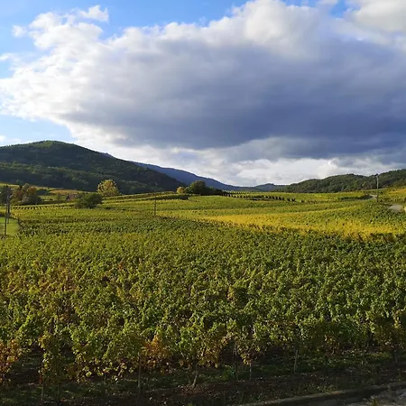 L'altenberg Bergheim